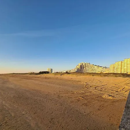 Sj490-052 - 4 Couchages - Saint Jean De Monts Les Bains